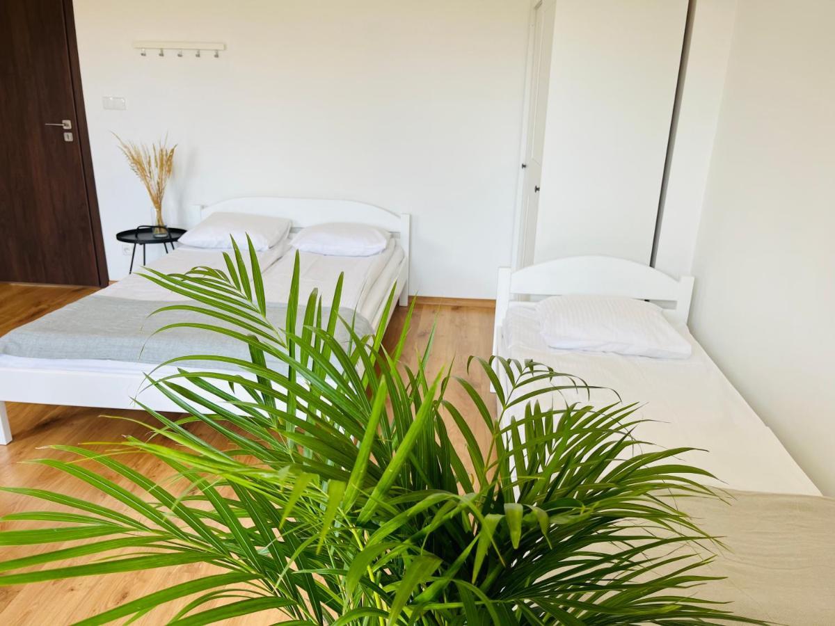 Villa Lawenda Wladyslawowo Ngoại thất bức ảnh